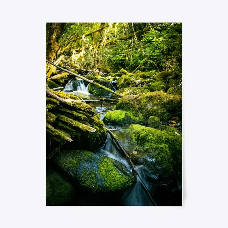 Oregon Stream 3