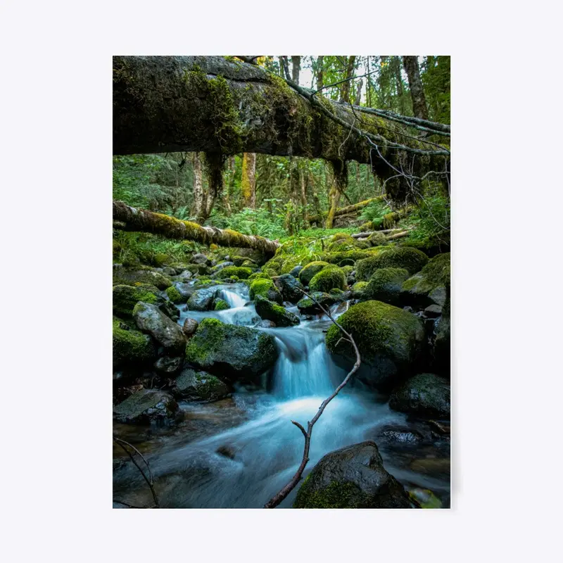 Oregon Stream 1